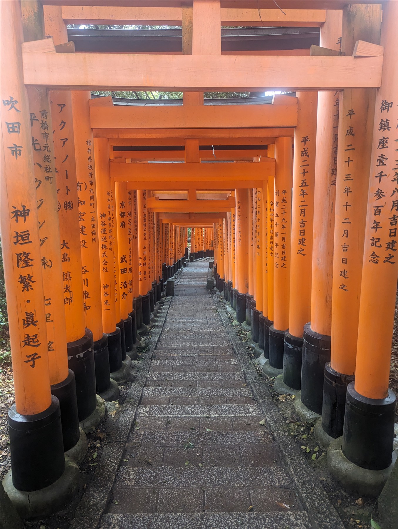 The torii paths at Fushimi Inari in Kyoto